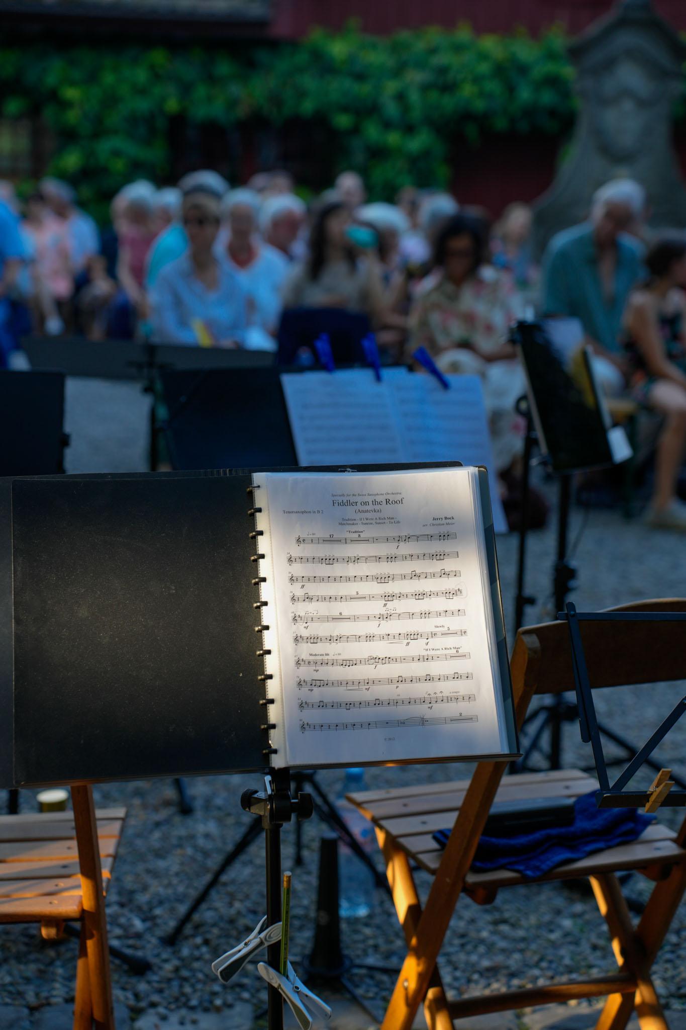 qvf-quartierverein-feldmeilen-serenade-2026 (35)